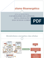 Bioquimica Aula20