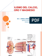 Metabolismo Del Calcio