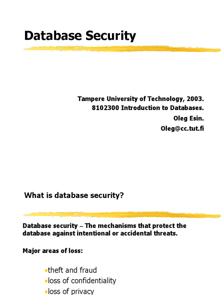 Understanding Database Security Mechanisms | PDF