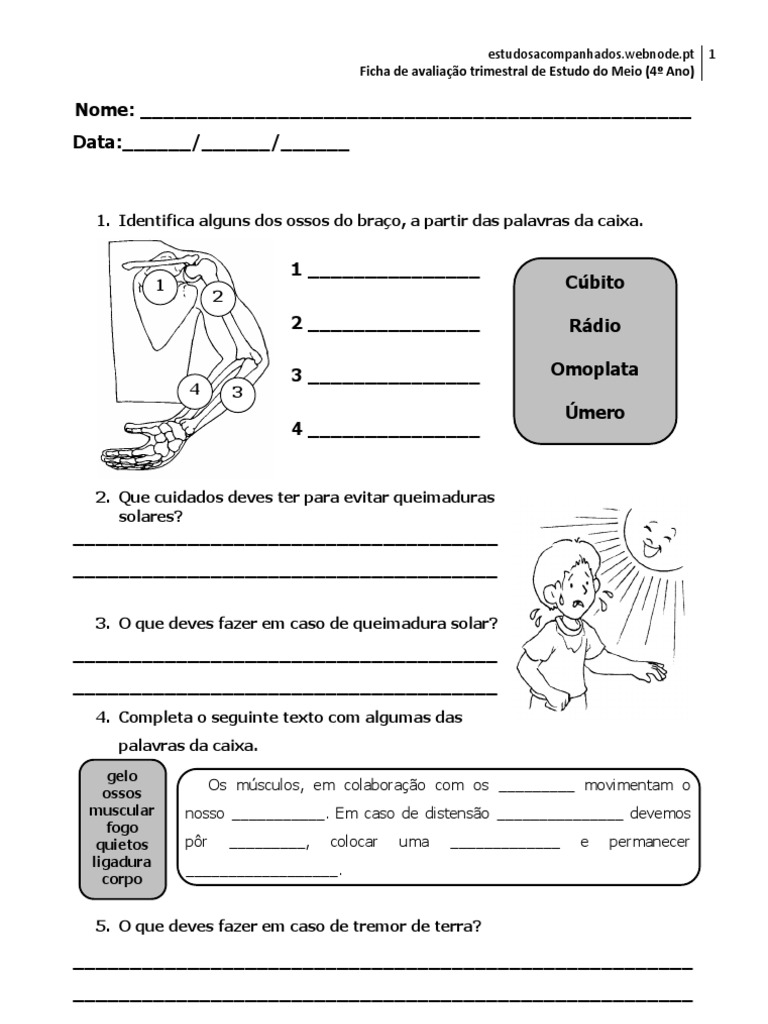 ficha-de-avalia-o-trimestral-de-estudo-do-meio-4-ano-pdf