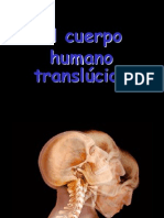 ELCUERPOHUMANOTRANSLUCIDO