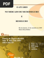 22-09-O Mercado de Micro-Seguro e Resseguro-Maria Elena Bidino