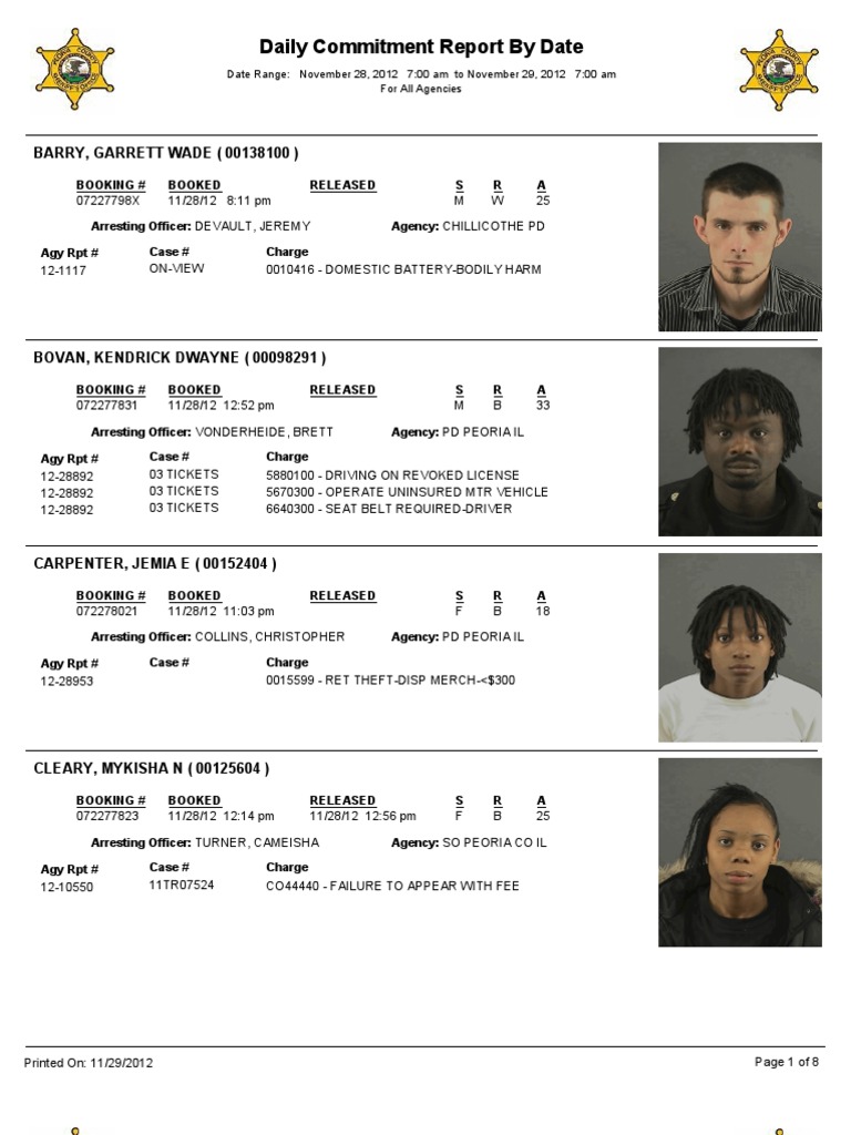 Law Enforcement Daily Log | PDF | Property Crimes | Criminology