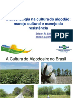 Aplic Biotec Na Cult Algodoeiro