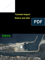 Tsunami Before After