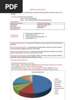Geografia 11º ano 1º teste