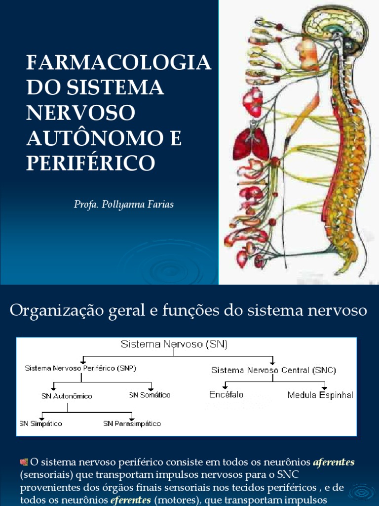 Aula 8 Farmacologia do Sistema Nervoso Autônomo Sistema Nervoso Autónomo Sistema nervoso