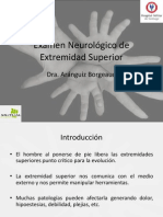 Examen Neurológico de Extremidad Superior