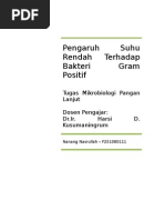Download Pengaruh Suhu Rendah Terhadap Bakteri Gram Positif by nasrulloh SN11495502 doc pdf