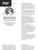 Bonsai Guide