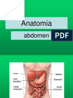 Anatomia AbdomemII