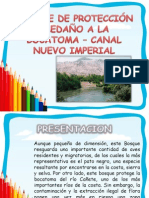 Canal Nuevo Imperial 1