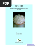 Download jual Sabun Transparan Chip Soap by pakde jongko SN11498926 doc pdf
