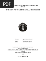 Download INDERA PENGLIHATAN DAN PERSEPSI by Ayu Hilyatul Millah SN115003003 doc pdf
