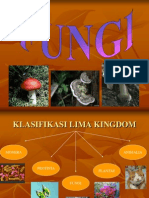 Biologi: Fungi