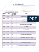 Cronograma de Practicas