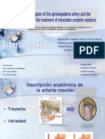 Arteria Maxilar Ppt