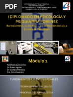 Diplomado en Psicología y Psiquiatría Forense