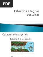 Estuários e Lagoas Costeiras Apresentação