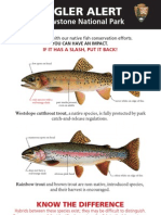 Yellowstone Fish ID Guide