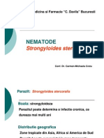 Strongyloides Stercoralis