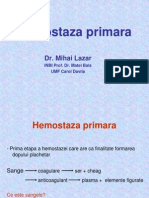 Hemostaza Primara