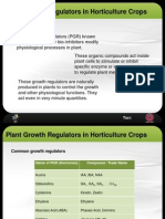 Plant Growth Regulators in Horticulture Crop