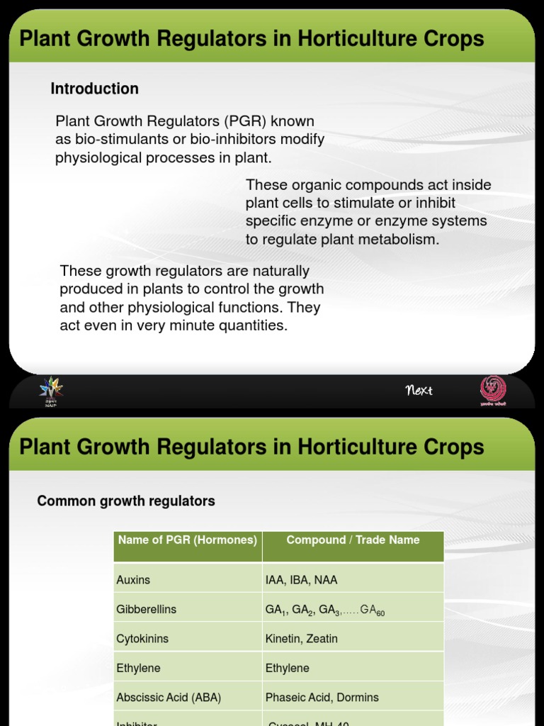 Plant Growth Regulators in Horticulture Crop Plant Hormone Plant
