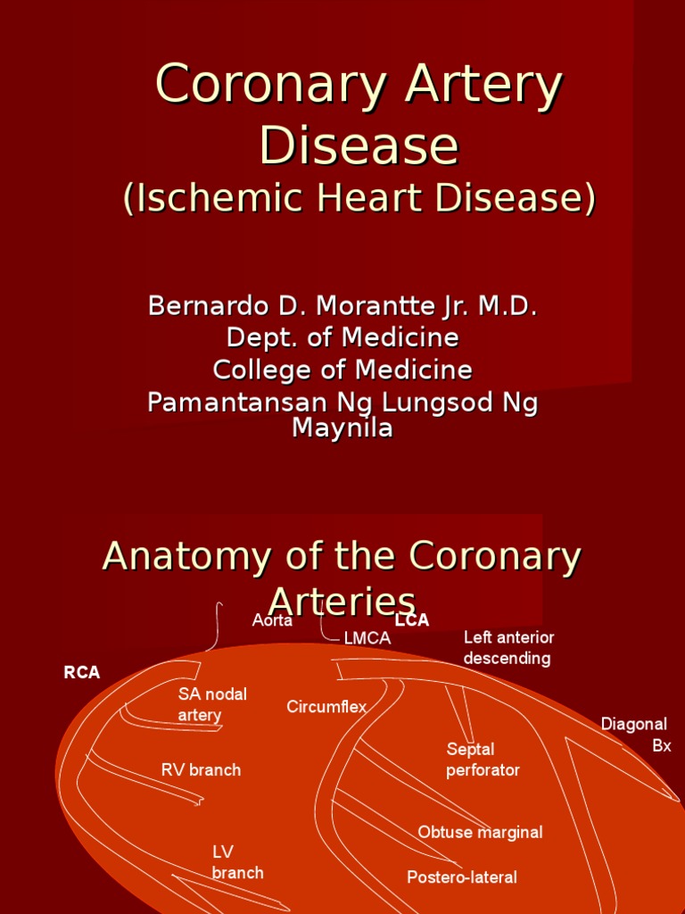Coronary Artery Disease | PDF | Coronary Circulation | Myocardial ...