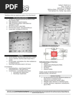 Download Colon IBD etc by sarguss14 SN11516611 doc pdf