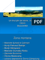 Prezentatie - ''Bucovina''