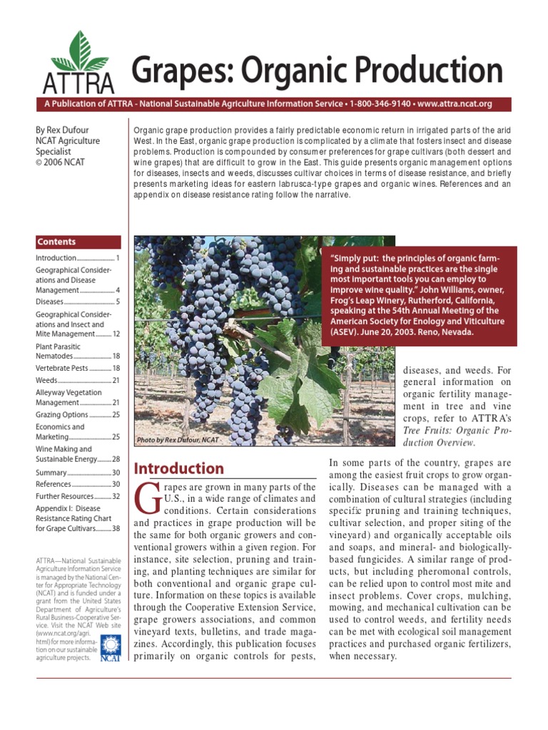 Grapes Organic Production | PDF | Vitis | Grape
