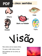Corpo Cinco.sentidos