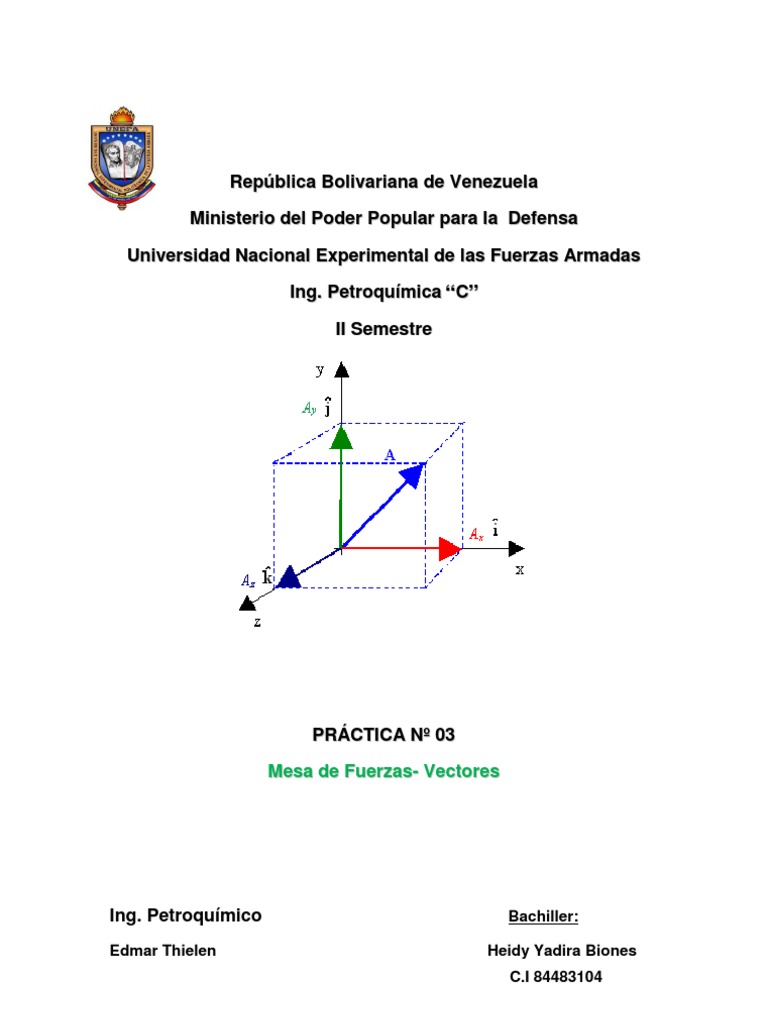Que Es Un Vector | PDF | Métodos y materiales de enseñanza