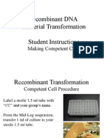 Re Comb Dna Competent Cell