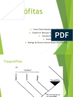 Apresentação Bio vegetal -Pteridófitas(final)