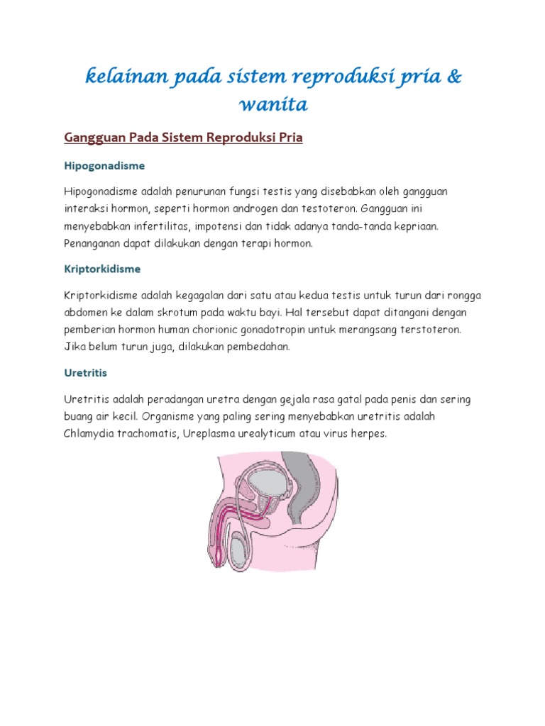Kelainan Pada Sistem Reproduksi Pria Kelainan Pada Sistem Reproduksi Pria