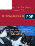 Immunodeficiència Felina