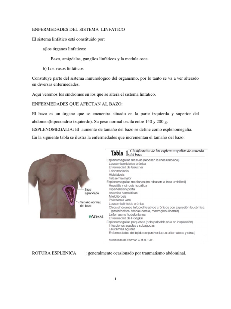 Enfermedades Del Sistema Linfatico 2 Pdf Enfermedades Y Trastornos