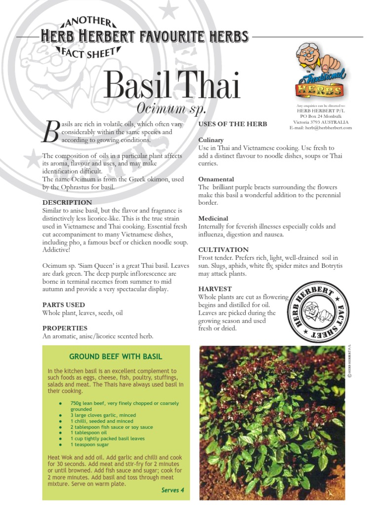 Basil Thai | PDF