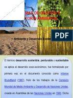 Ambiente y Desarrollo Sostenible