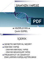 Dna Ve Dna'nin Yapisi