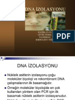 Dna İzolasyonu