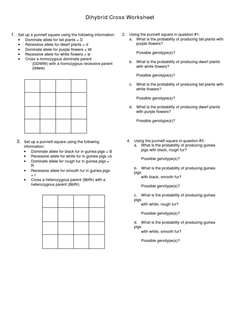 Worksheets Dihybrid Cross Worksheet Answers dihybrid cross worksheet answer key delibertad virallyapp printables worksheets