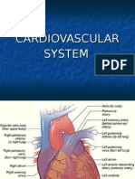Cardiovascular - Heart