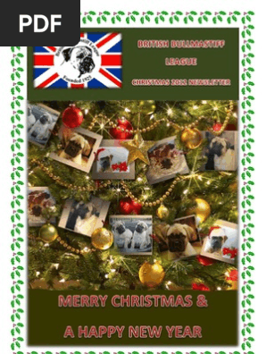 BBL Christmas 2012 Newsletter