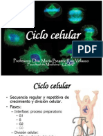 CLASE 12- CICLO CELUALR - nucleo celular.pptx|