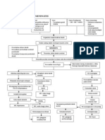 WOC Meningitis