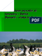 Ecosistem Acvativ Si Terestru - Delta Dunarii