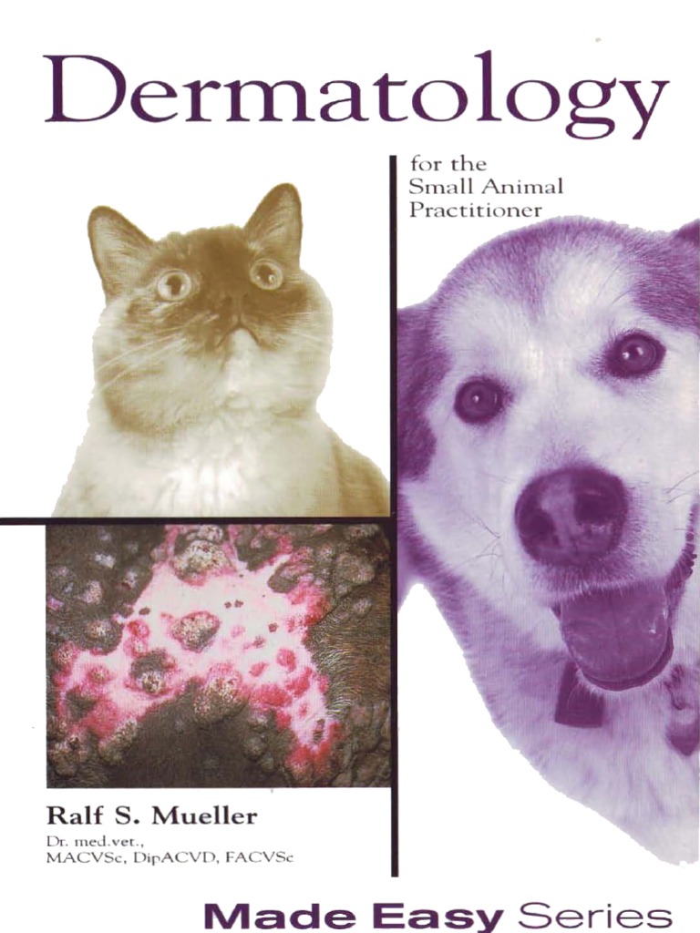 Dermatology For The Small Animal Practitioner PDF Cutaneous